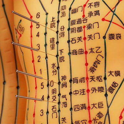 Flexibel Chinees medicijn Acupunctuurmodel voor medisch onderwijs