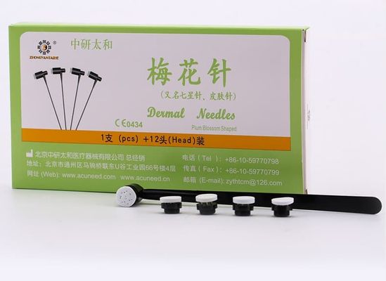 PVC Handvat Pruimenbloesem Naalden 12 Naalden Doos Acupunctuurnaalden Geschikt voor Professionals in Acupunctuur en Welzijn