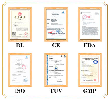 Gedetailleerde en levensechte weergave van het menselijk lichaam Acupunctuur Lichaamsmodel Draagbaar, licht en gemakkelijk te vervoeren voor medisch onderwijs