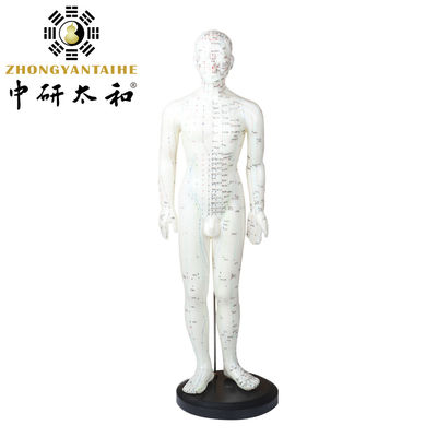 Realistisch acupunctuur Meridian Body Model met draagtas